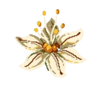 Asphodel Studios